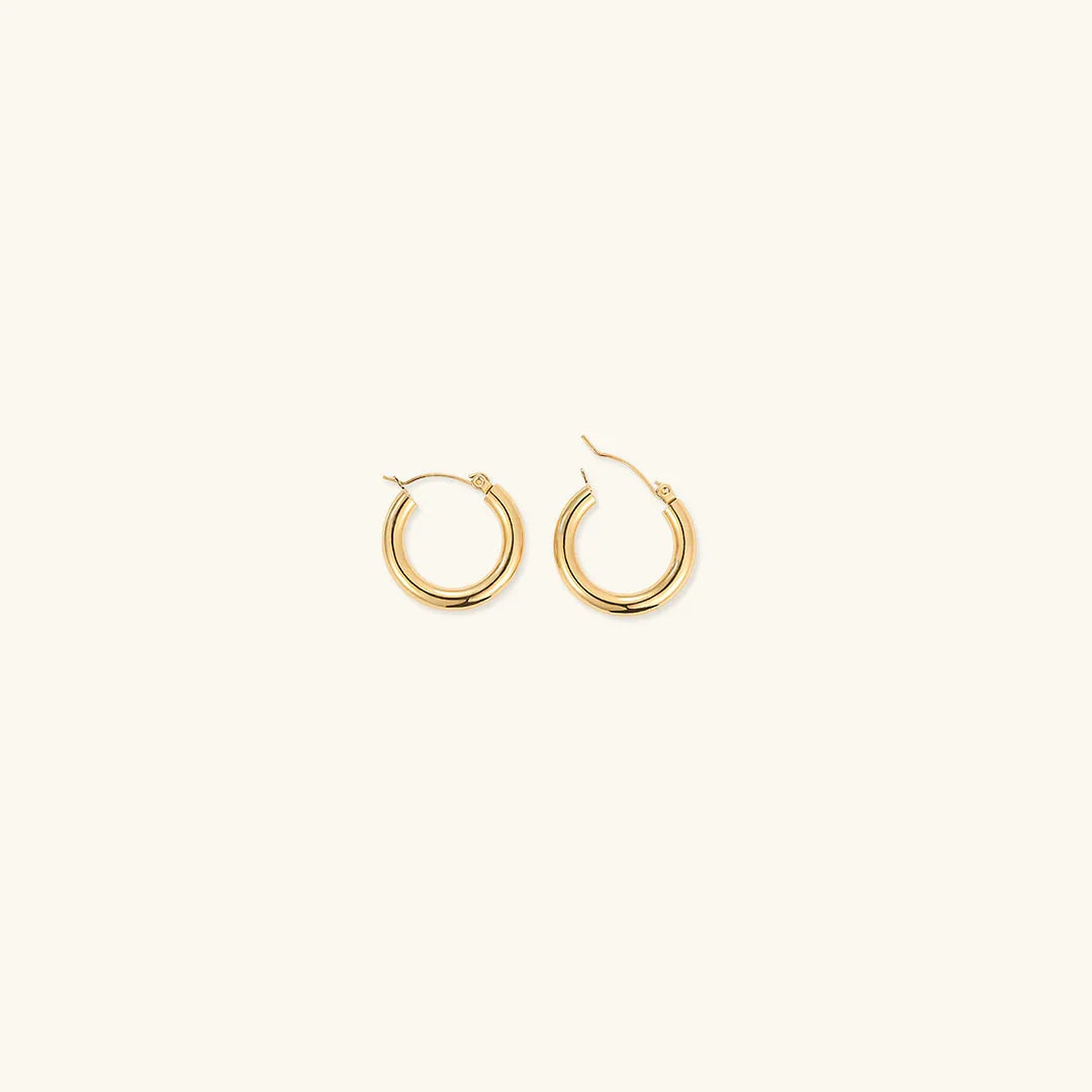 Women's Chunky Hoop Earrings Set - 3 Pairs - Hinged Closure