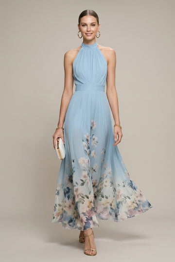 Women's Chiffon Halter Neck Floral Border Print A-Line Maxi Dress