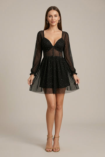 Women's Sheer Mesh Long Sleeve High Collar Dress