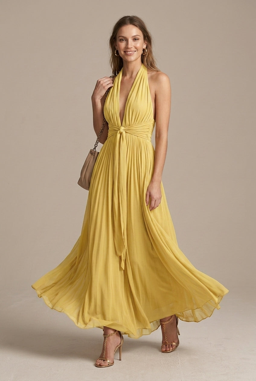 Women's Plunging V Neck Halter Maxi Dress Backless